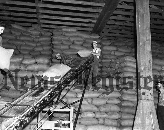 1940-summer Buchanan Cellars receiving peas in warehouse