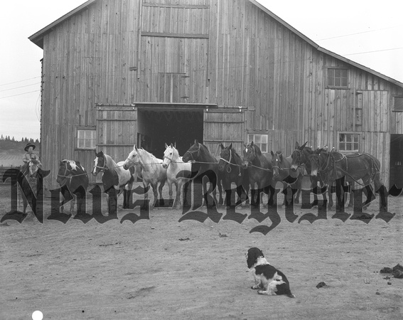 1940-4 Keuhne horse farm bar-k stock ranch-1