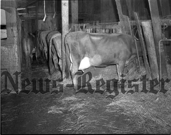 1948-1 Dairy Farm 1.jpeg