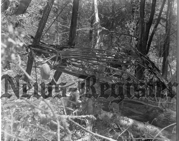 1951-6 Valley Junction Plane Dusting Crash.jpeg