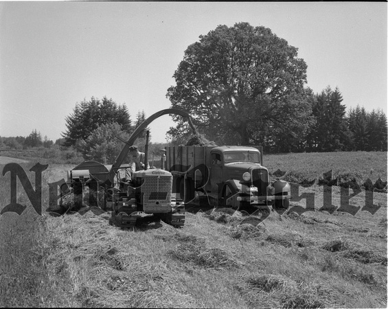 1950-6-8 Alderman Farms Grass Silage.jpeg