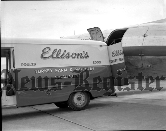 1948 Turkey Poults shipped via airplane 2.jpeg