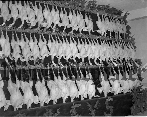 1948 Turkey Exhibit 1.jpeg