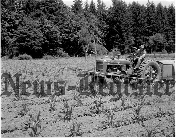 1947-8 Farming scene 2.jpeg