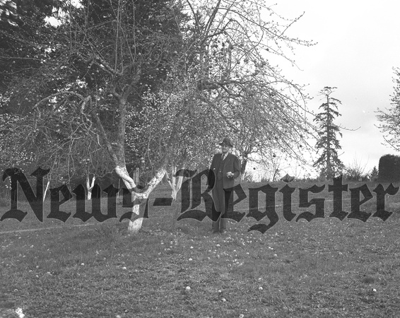 1940-3 Sheriff George W. Manning with apple tree-2