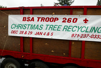 Scouts recycling xmas trees -TB
