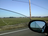 DSCN0505