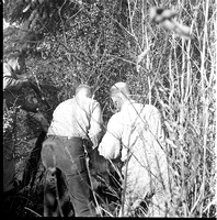 1960