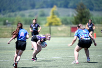 Panther Rugby