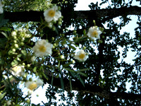 DSCN0014