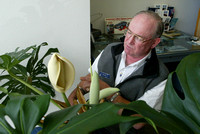 H&G; rare plant@ColvinFord -TB