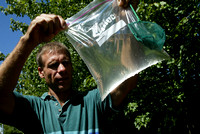 BIZ- USDA mosquito fish - TB