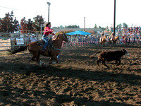 County Fair Rodeo - OB