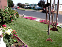 August Yard of Month-OB