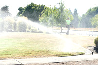 Heat Grass Watering