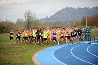 Cross Country State championships