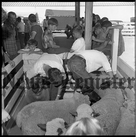 1969-8 County Fair 134