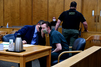 Dustin Brown sentencing