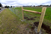Fence near YCAP