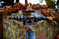 Dayton Scarecrows