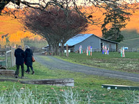 IMG_6803