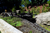Backyard train, Michael Crain