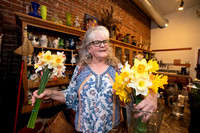 Daffodils at Rainflower