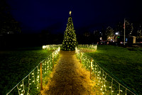 Carlton Park Christmas lights