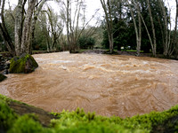 Flood waters in McMinnville
