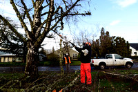 MSD initial tree cleanup