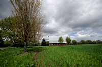 Yamhill County park - ML