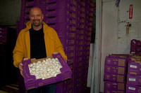 Yamhill County Mushrooms - MW
