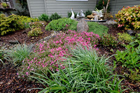 Yard of the Month - ML