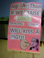 Wascher pig kissing