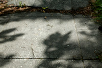 485C2404