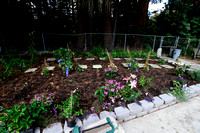 Jerrys garden