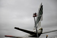 Evergreen Plane Washing