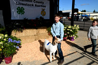 Yamhill County Fair